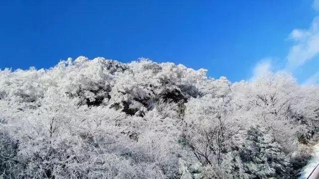 春雨直播app